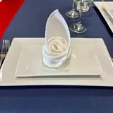 20" x 20" Napkin