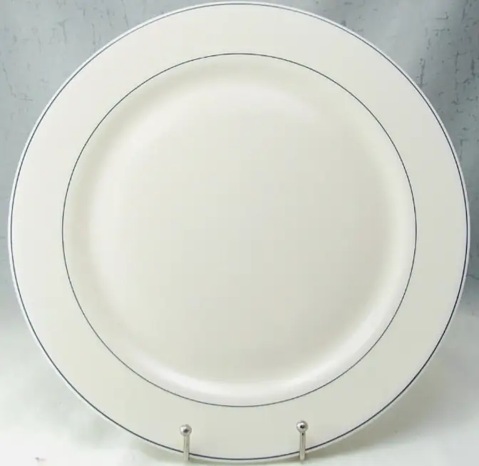 6" Platinum Band China Plate