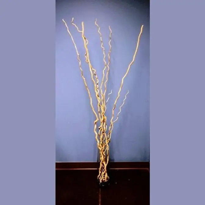 Bamboo Sticks