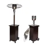 Patio Heater with Propane