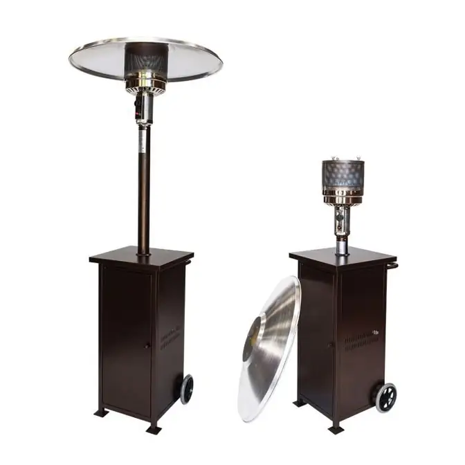 Patio Heater with Propane