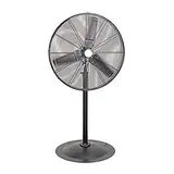 Pedestal Fan