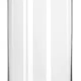 Tall Clear Vase